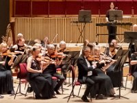 2017-7 ustrings CSO-046L